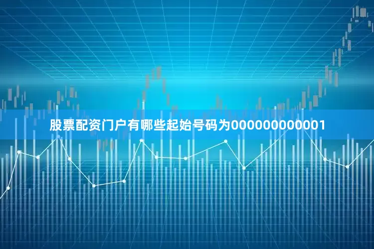 股票配资门户有哪些起始号码为000000000001